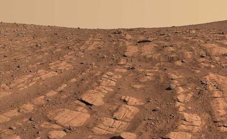 Anak Perempuan Elon Musk Ungkap Kebohongan Terbesar Ayahnya
